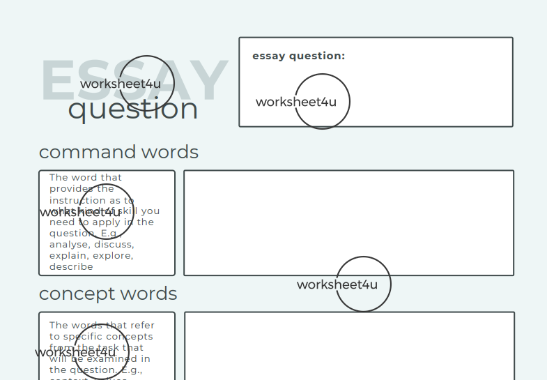 Essay Bundle