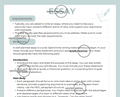 Essay