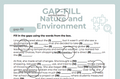 Gap-Fill Nature and Environment