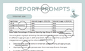 Report Prompts