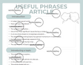 Useful Phrases Article