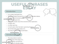 Useful Phrases Essay