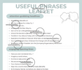 Useful Phrases Leaflet