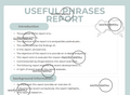 Useful Phrases Report
